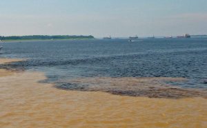 Rencontre des eaux des fleuves Solimões et Rio Negro, en aval de Manaus